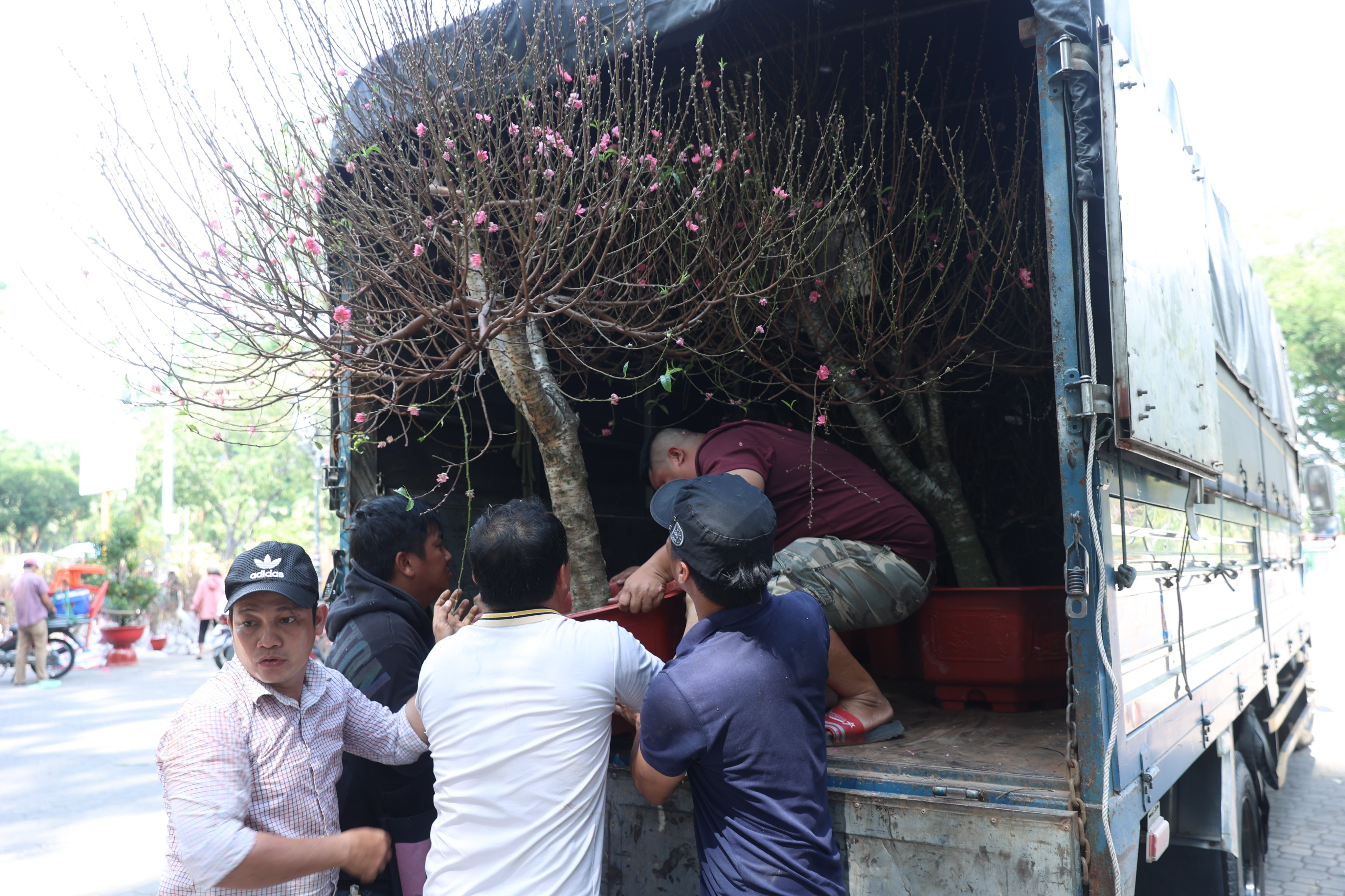 Các công công nhân công thu gom chậu hoa, gốc đào bị bỏ lại công viên Gia Định. Trong khi đó các chủ hoa vẫn tiếp tục chuyển những chậu hoa có giá trị tới nơi khác để bán.