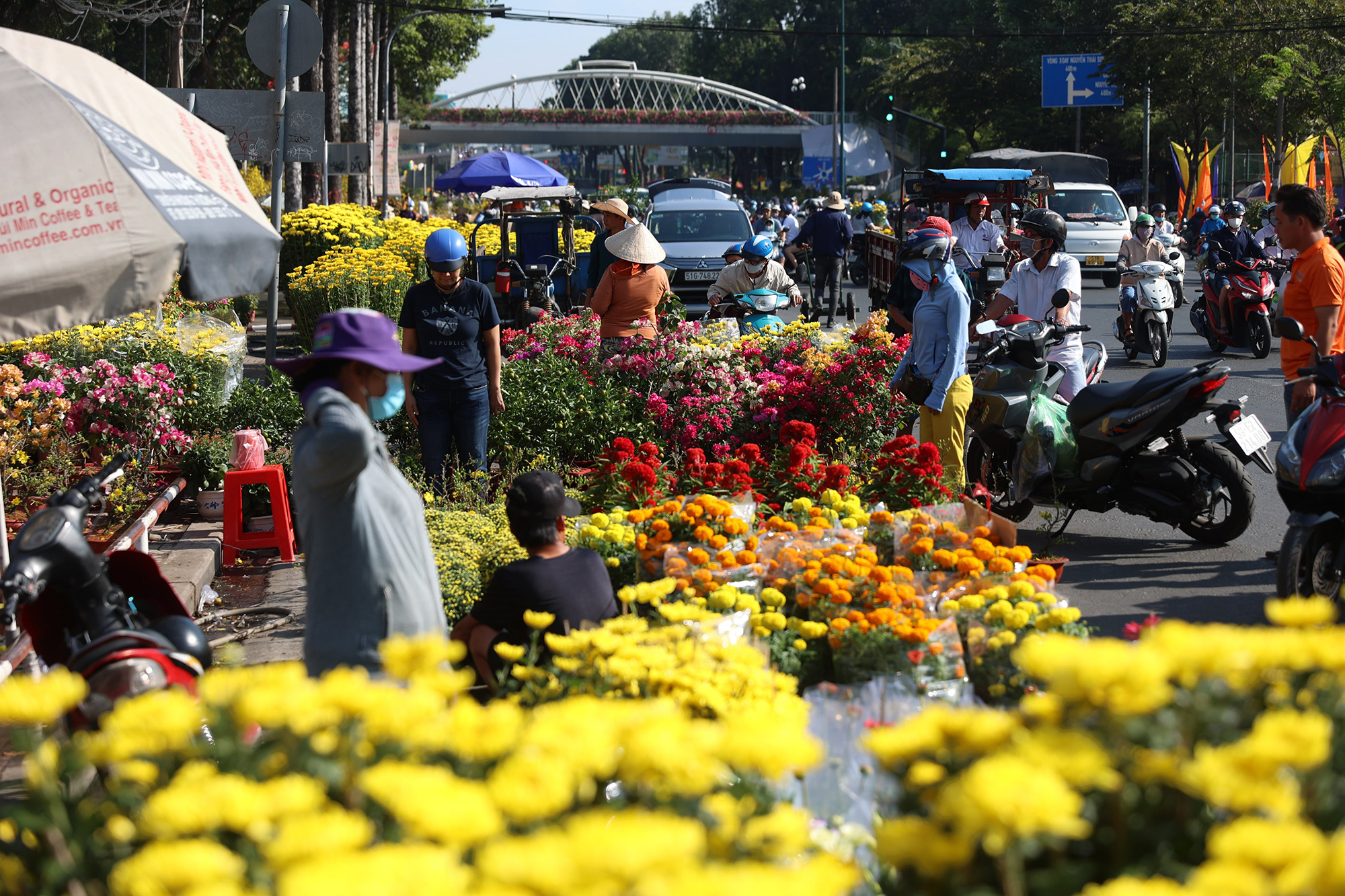 Các loại hoa, cây Tết đặc trưng miền Nam như hoa cúc, mai, tắc… thu hút người mua do đều giá 30-50%.