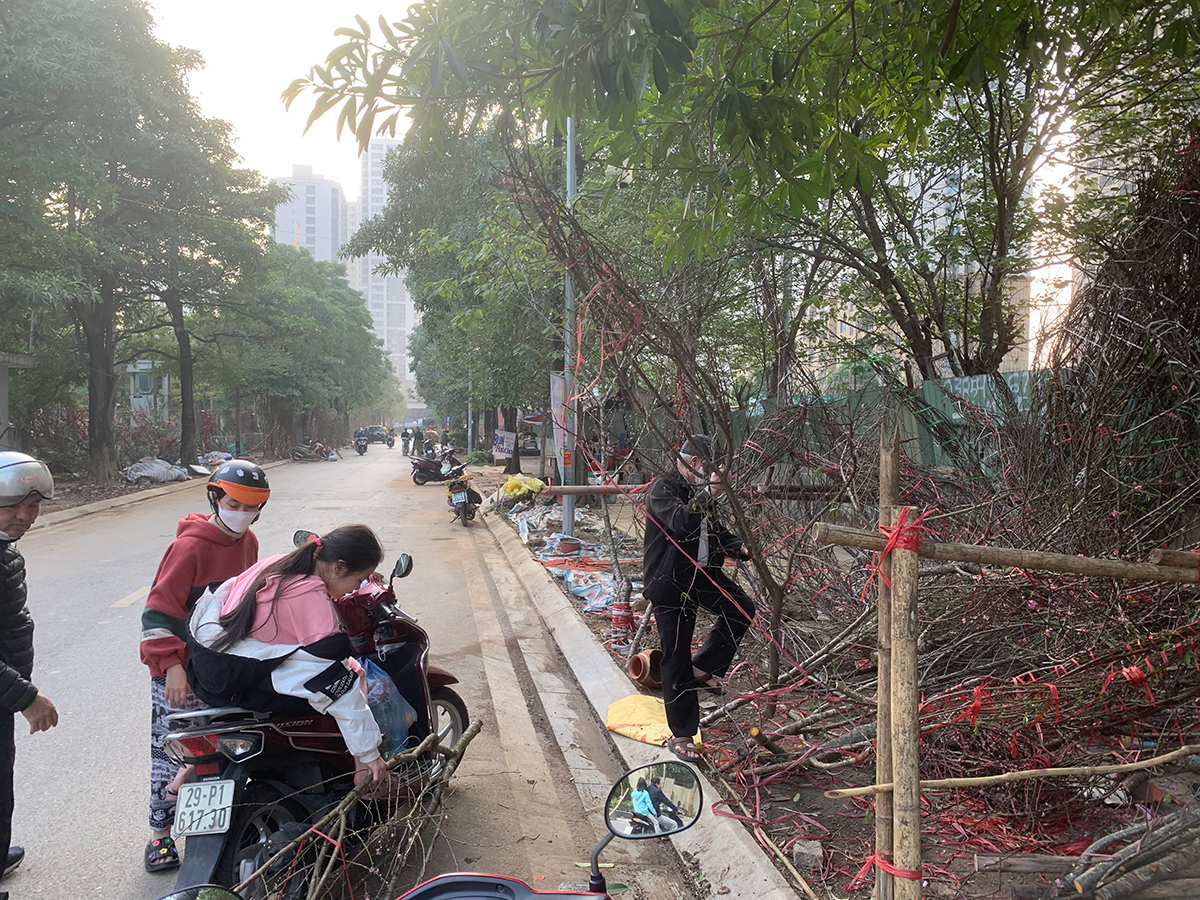 Ảnh: Hàng trăm cành đào rừng bị bỏ trên hè phố Hà Nội chiều 30 Tết, tiểu thương “bỏ của chạy lấy người” - 8