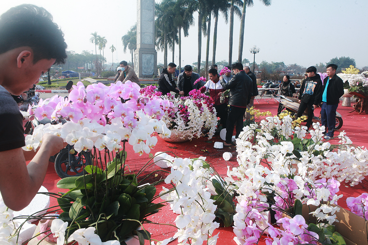 Chị Hoa, buôn bán hoa lan hồ điệp tại đây cho biết: “Chưa năm nào tôi buôn bán tại đây lại ế ẩm như năm nay dù giá giảm 50 đến 70% so với ngày thường. Những chậu hoa lớn giá trị cao năm nay hầu như ế ẩm, khách chỉ hỏi chứ không mua”.