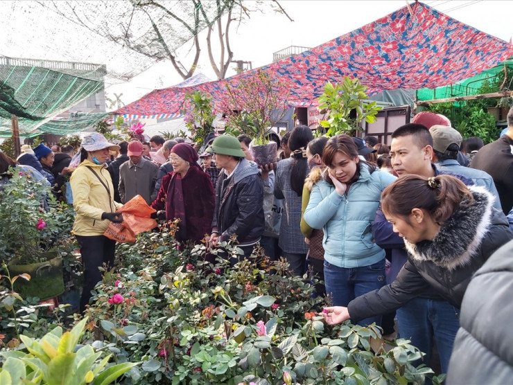 Cây giống, bonsai là mặt hàng không thể thiếu ở chợ Viền. Ảnh: Lao Động