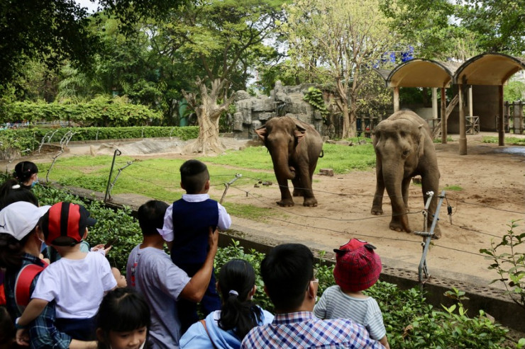 Khu vực chuồng thú như voi, hươu cao cổ... có rất đông người đứng chụp hình, tham quan. Ảnh: BẢO PHƯƠNG