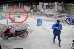 Đăng tải, chia sẻ clip nổ súng bắn vợ chồng hàng xóm ở Thái Nguyên có thể bị phạt