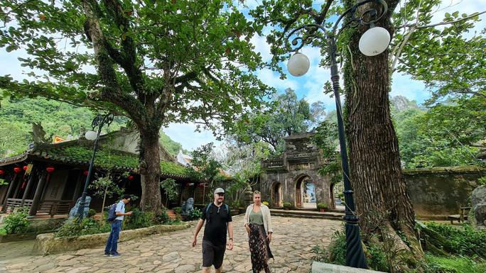 Trước cổng chùa Tam Thai rêu phong, hai cây bàng đại thụ như hai vị hộ pháp canh giữ tạo sự uy nghiêm cho ngôi chùa. Thân cây bàng xù xì vết thời gian, cành lá phân chi khác thường so với đồng loại