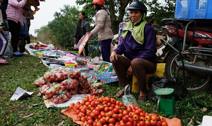 Cà chua chín đỏ, nguyên liệu không thể thiếu tại chợ