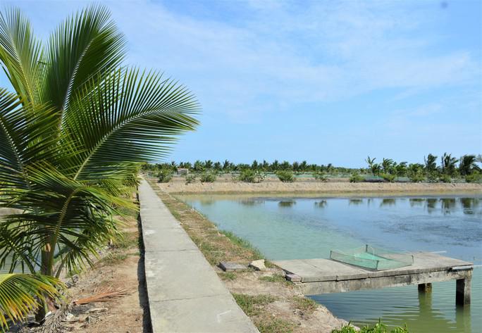 Ông Ánh đã đầu tư khoảng 8 tỉ đồng để mua đất và làm ao nuôi cá chình