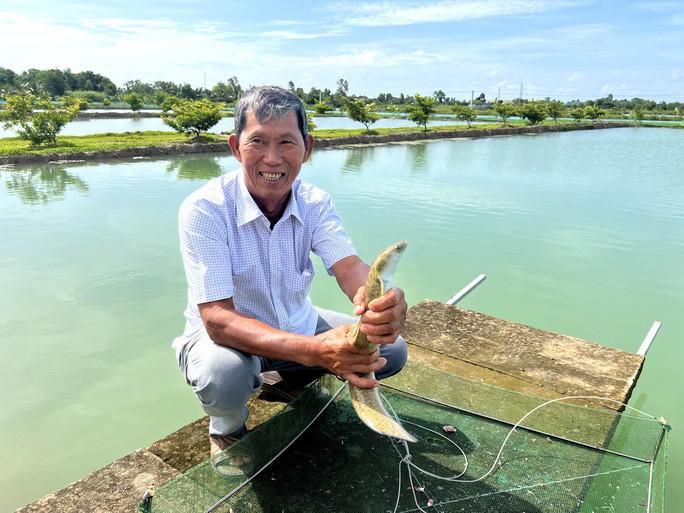 Ông Ánh trở thành tỉ phú nhờ nuôi cá chình