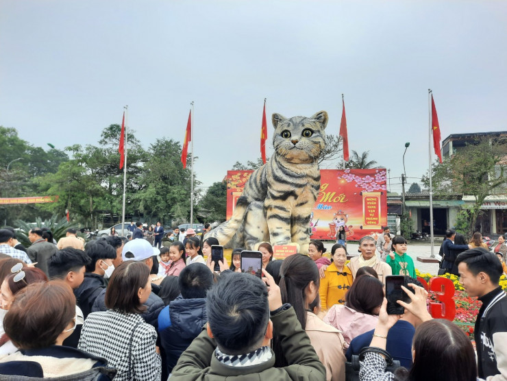 "Hoa hậu mèo" hút khách những ngày Tết.