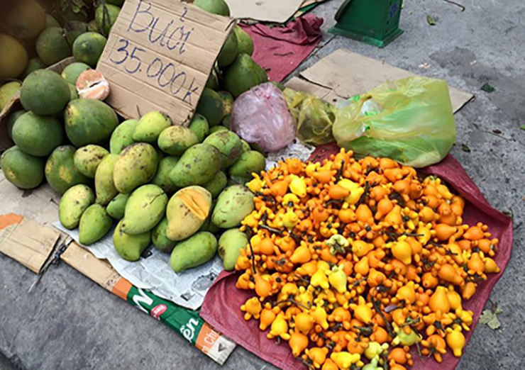 Tiểu thương cho biết quả dư thừa có xuất xứ từ miền Tây, là loại quả quen thuộc thường được người Sài Gòn mua về chưng Tết.
