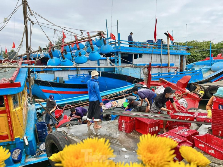 Một đêm ra khơi ngư dân Quảng Ngãi sắm được... 1 chỉ vàng - 4