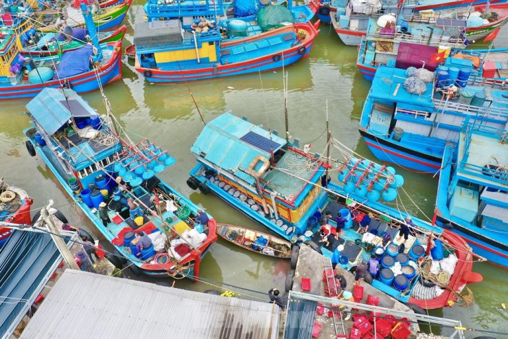 Liên tiếp trong những ngày qua, tại cảng cá Tịnh Kỳ (xã Tịnh Kỳ, TP. Quảng Ngãi) và Sa Kỳ (xã Bình Châu, huyện Bình Sơn, tỉnh Quảng Ngãi), hàng trăm tàu cá của ngư dân nối đuôi nhau ra vào cảng, tạo nên bầu không khí nhộn nhịp trong những ngày đầu năm mới.