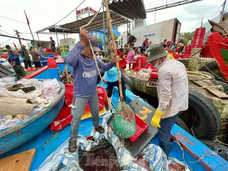 Một đêm ra khơi ngư dân Quảng Ngãi sắm được... 1 chỉ vàng - 14