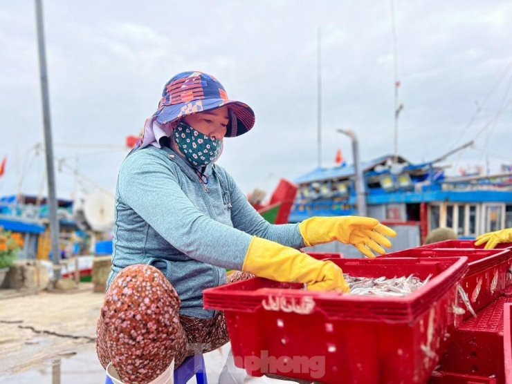 Một đêm ra khơi ngư dân Quảng Ngãi sắm được... 1 chỉ vàng - 16