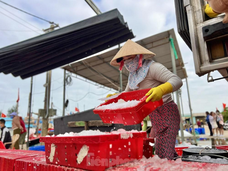 Một đêm ra khơi ngư dân Quảng Ngãi sắm được... 1 chỉ vàng - 19