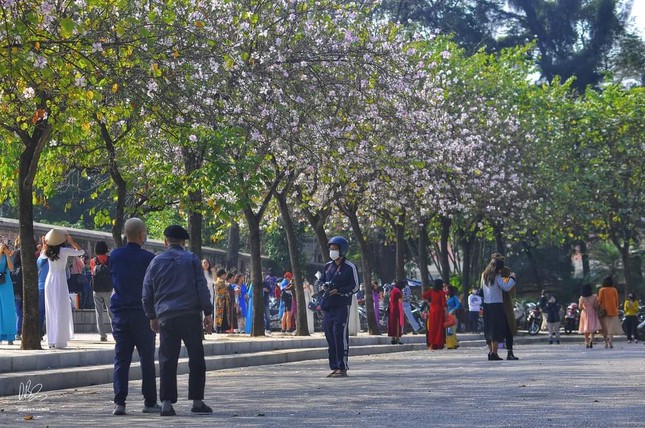 Người dân nô nức đến check-in cùng hoa ban đang mùa nở rộ. Nguồn: NAG Doan Bach