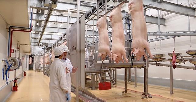 Năm 2022, Công ty Cổ phần Masan MeatLife lỗ sau thuế hơn 233 tỷ đồng.