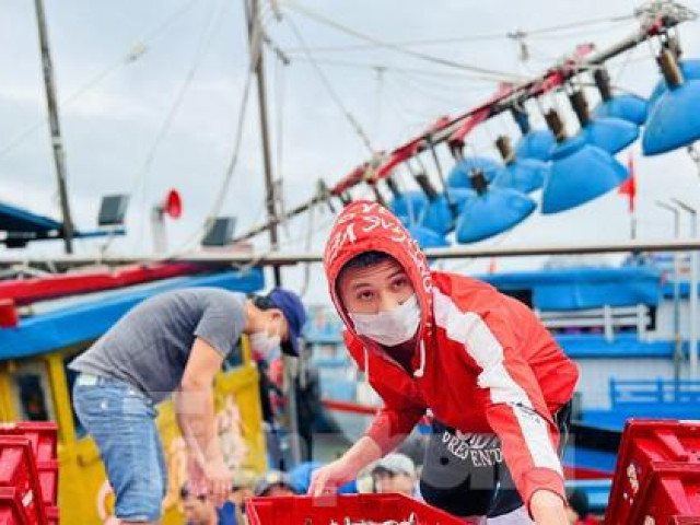 Một đêm ra khơi ngư dân Quảng Ngãi sắm được... 1 chỉ vàng