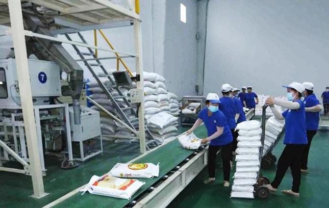 Các doanh nghiệp xuất khẩu gạo tất bật chuẩn bị hàng trong những ngày đầu năm mới.