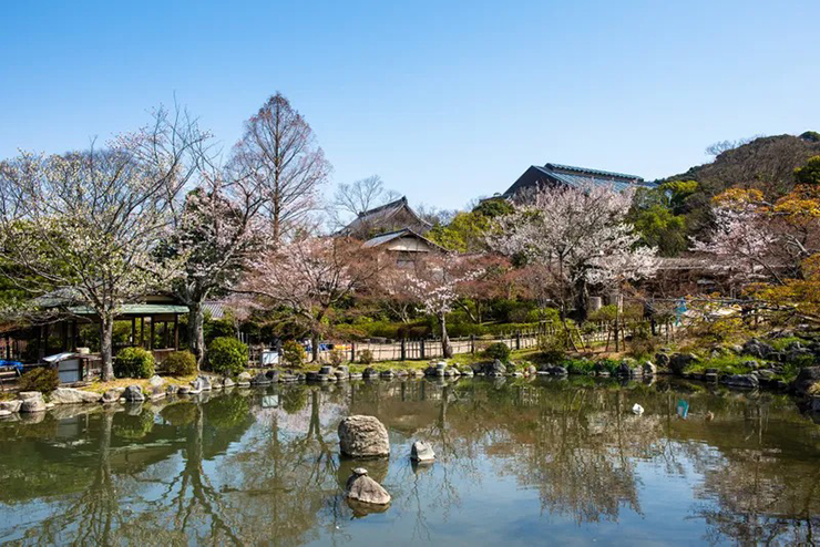 Công viên Maruyama là công viên lâu đời nhất của Kyoto và là một trong những địa điểm ngắm hoa anh đào nổi tiếng nhất của cố đô.&nbsp;Mặc dù bạn có thể đi dạo dưới những cây anh đào của công viên vào ban ngày nhưng hầu hết du khách hãy ghé thăm vào ban đêm vì khi được thắp đèn nơi đây cực kỳ rực rỡ.
