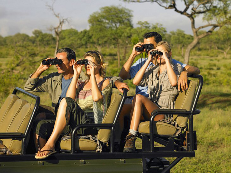 Khu bảo tồn trò chơi Sabi Sands, Nam Phi thích hợp cho các cặp đôi hứng thú với những hoạt động ngoài trời. Đi thám hiểm ở Nam Phi là một trong những điều kỳ diệu mà các cặp đôi nên trải nghiệm một lần trong đời.
