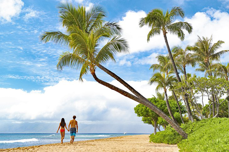 Maui, Hawaii, Mỹ có rất nhiều khu nghỉ dưỡng sang trọng, cảnh quan đa dạng, tuyệt đẹp. Các cặp đôi có thể lái xe dọc theo&nbsp;đường cao tốc Hana&nbsp;đẹp như tranh vẽ và khám phá&nbsp;Công viên Quốc gia Haleakala.
