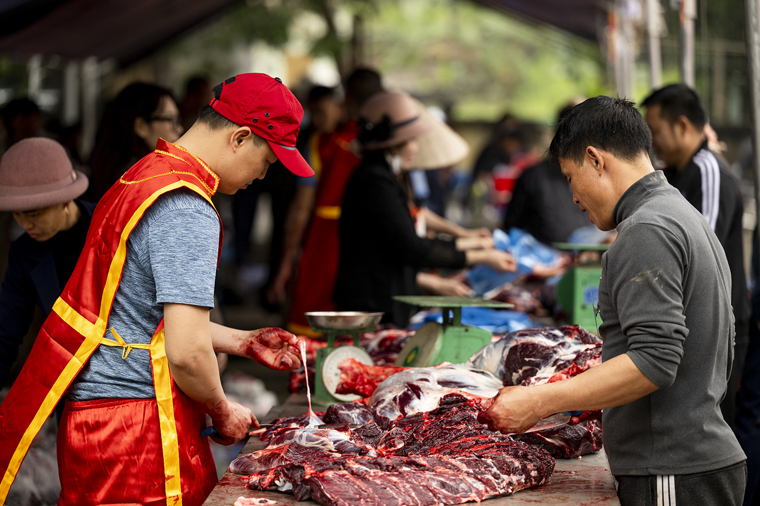 Tranh nhau mua thịt trâu chọi thắng trận giá 5 triệu đồng/kg - 5