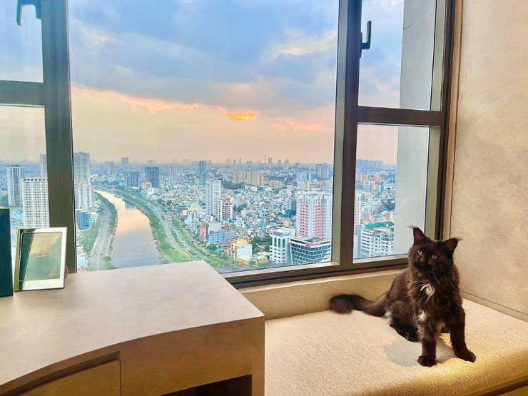 Đầu năm 2021, Trấn Thành và Hari Won đã chuyển về sống tại một căn hộ cao cấp giữa trung tâm, có view nhìn toàn thành phố.
