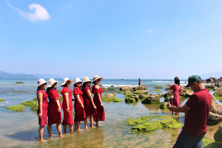 Du khách check in bãi rêu Nam Ô đẹp ngỡ ngàng.