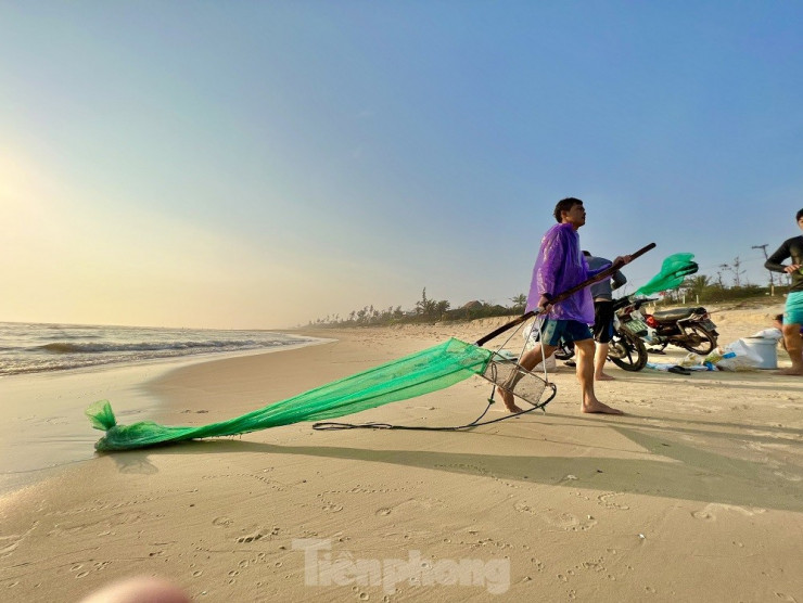 Ra biển bắt ốc bé bằng móng tay, ngư dân kiếm bộn tiền mỗi sáng - 18