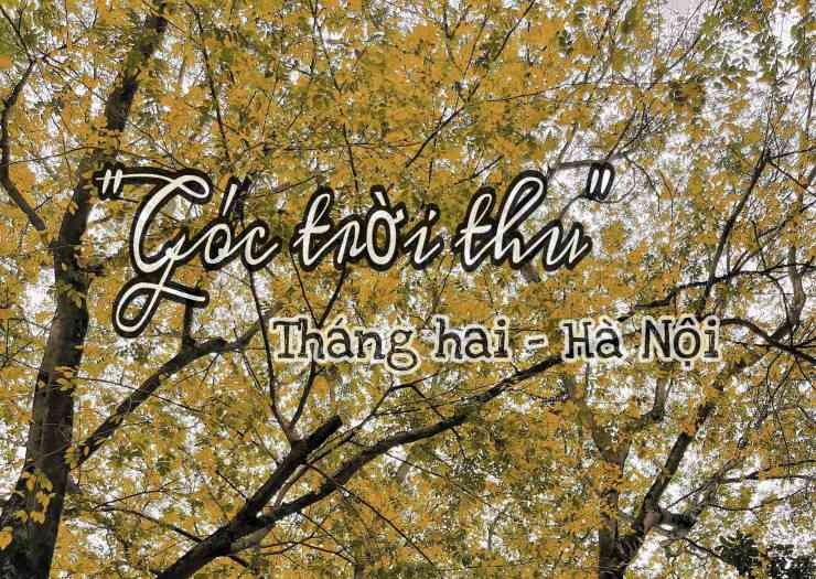 Giới trẻ thích thú check in “góc trời thu” giữa tiết Xuân Hà Nội.