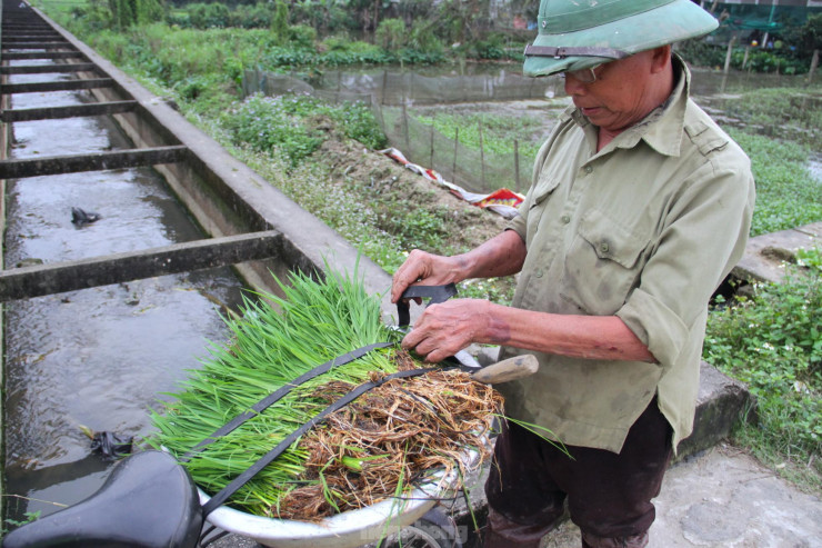 &#39;&#39;Bán mặt cho đất bán lưng cho trời&#39;&#39; kiếm nửa triệu mỗi ngày - 12