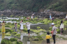 Video: Bãi rêu Nam Ô vương vãi rác thải