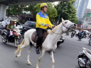 Tin tức trong ngày - Đang cưỡi bạch mã dạo trung tâm TP.HCM, thanh niên gặp ngay CSGT