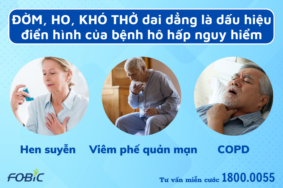 Hành trình tìm ra thảo dược quý, từng bước chiến thắng bệnh tật