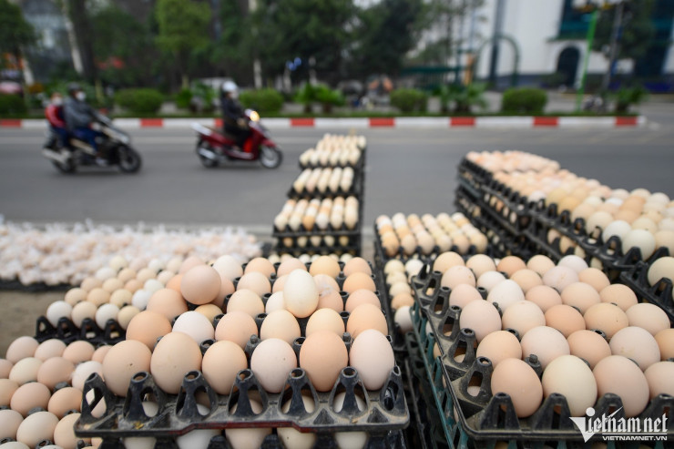 Đây là lý do trứng gà giá rẻ được bán tràn lan ở vỉa hè Hà Nội, chuyên gia chỉ rõ 4 mẹo chọn trứng gà sạch và ngon không phải ai cũng biết - 1