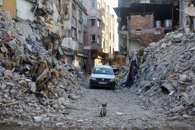 Khu chung cư xa hoa Ronesans Rezidans đổ nát sau trận động đất. Ảnh: Reuters