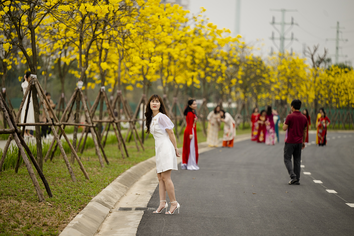 Thời tiết nắng nhẹ, không mưa, nhiệt độ mát mẻ khiến rất đông người dân tìm tới con đường hoa Phong Linh chiêm ngưỡng và lưu lại những khoảnh khắc cùng với loài hoa này.