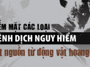 Sức khỏe đời sống - Điểm mặt các loại bệnh dịch nguy hiểm bắt nguồn từ động vật hoang dã