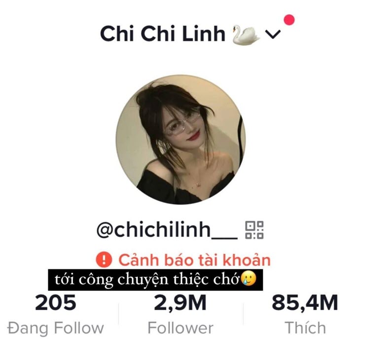 Tài khoản của Linh Chi bị TikTok cảnh báo.