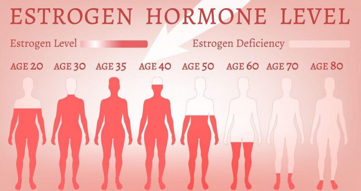 Thời kỳ mãn kinh, nồng độ estrogen giảm xuống khiến ống âm đạo ngắn và hẹp hơn.