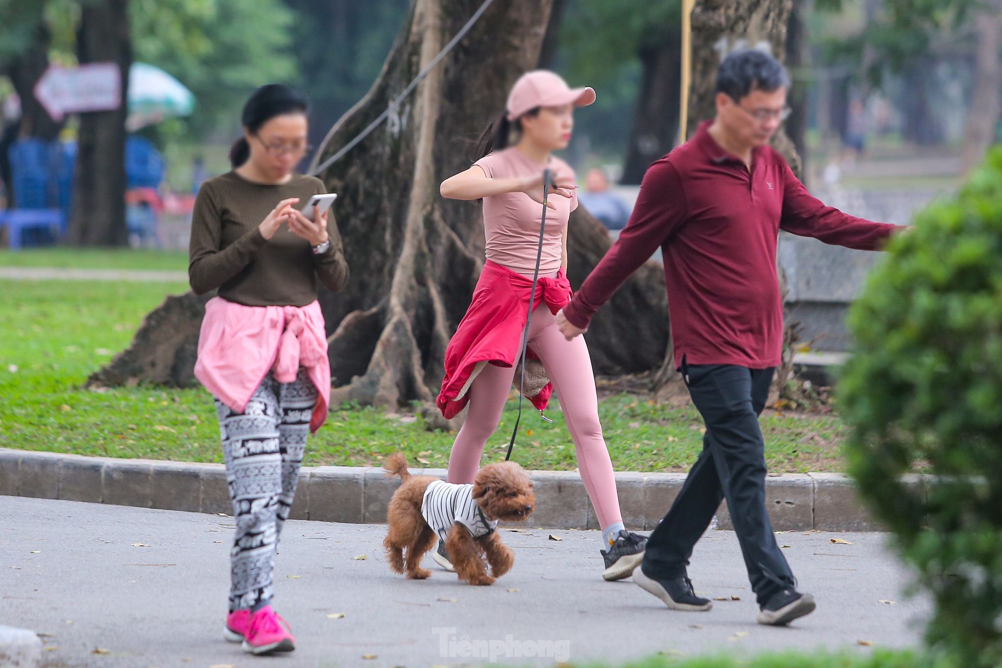 Mặc dù nhiều lần ra quân nhưng tình trạng chó thả rông vẫn tái diễn tại các khu vực công cộng ở Hà Nội.