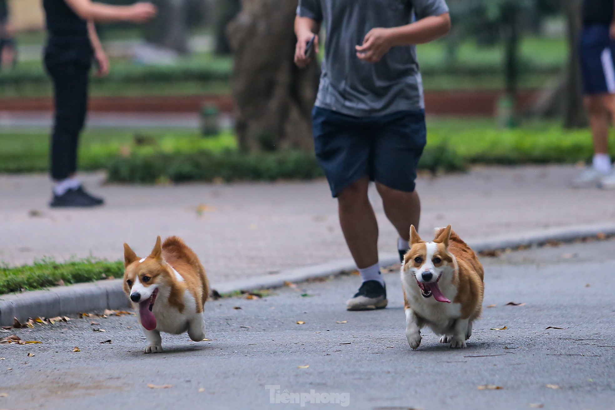 Nhiều nguy hiểm rình rập với trẻ nhỏ và người dân đang tập thể dục