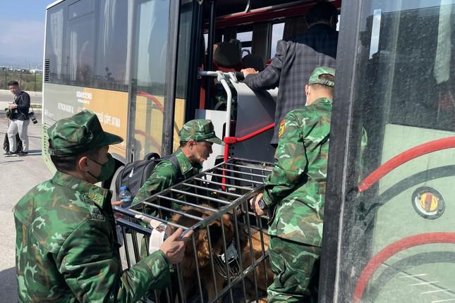 Huấn luyện viên và chó nghiệp vụ Biên phòng di chuyển ra sân bay