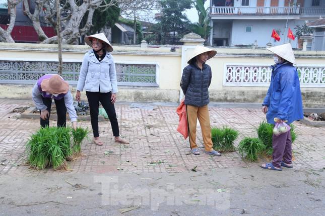 Phiên chợ bán lúa non (cây mạ) họp trên con đường đi vào khu vực chợ Cồn, gần trung tâm xã Thanh Dương, huyện Thanh Chương, Nghệ An. Đây được xem là phiên chợ ‘độc nhất’ tại địa phương khi mặt hàng được bán tại đây là những bó lúa non của người dư, bán cho người cần.