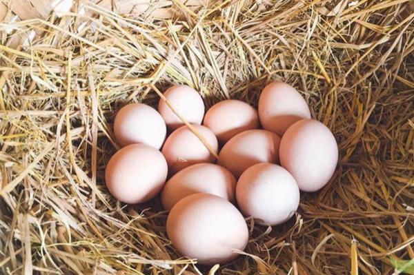 Trứng gà: Giá trị khác nhau của lòng trắng và lòng đỏ, các cách tách lòng đỏ trứng gà nhanh và đẹp nhất - 1