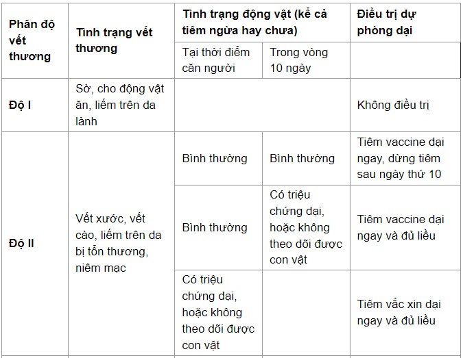 Bác sĩ chỉ 6 bước cần làm khi bị chó cắn - 3