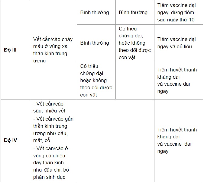 Bác sĩ chỉ 6 bước cần làm khi bị chó cắn - 4