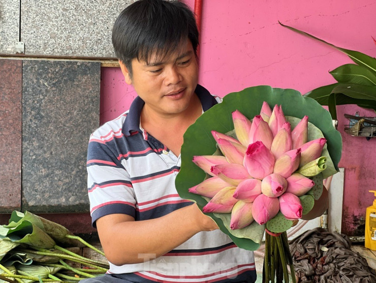 Anh Nguyễn Thanh Bình (39 tuổi) cho biết gia đình dòng họ của anh có nhiều người sống nhờ ao sen. Sáng anh và bà con thu hoạch bông, đem về phân loại, bó từng bó rồi giao sỉ, bán lẻ… mỗi ngày thu lợi nhuận trung bình từ 400.000-500.000 đồng. Trước đây anh Bình mở dịch vụ dọn dẹp, làm đẹp nhà cửa, văn phòng... Anh đi khắp nơi nhận công trình, ngày đêm ôm hoài bão làm giàu. Tuy nhiên, cảm thấy cuộc sống quá bon chen, áp lực, anh quyết định trở về với mảnh ao, trồng sen, hái sen kiếm sống qua ngày.