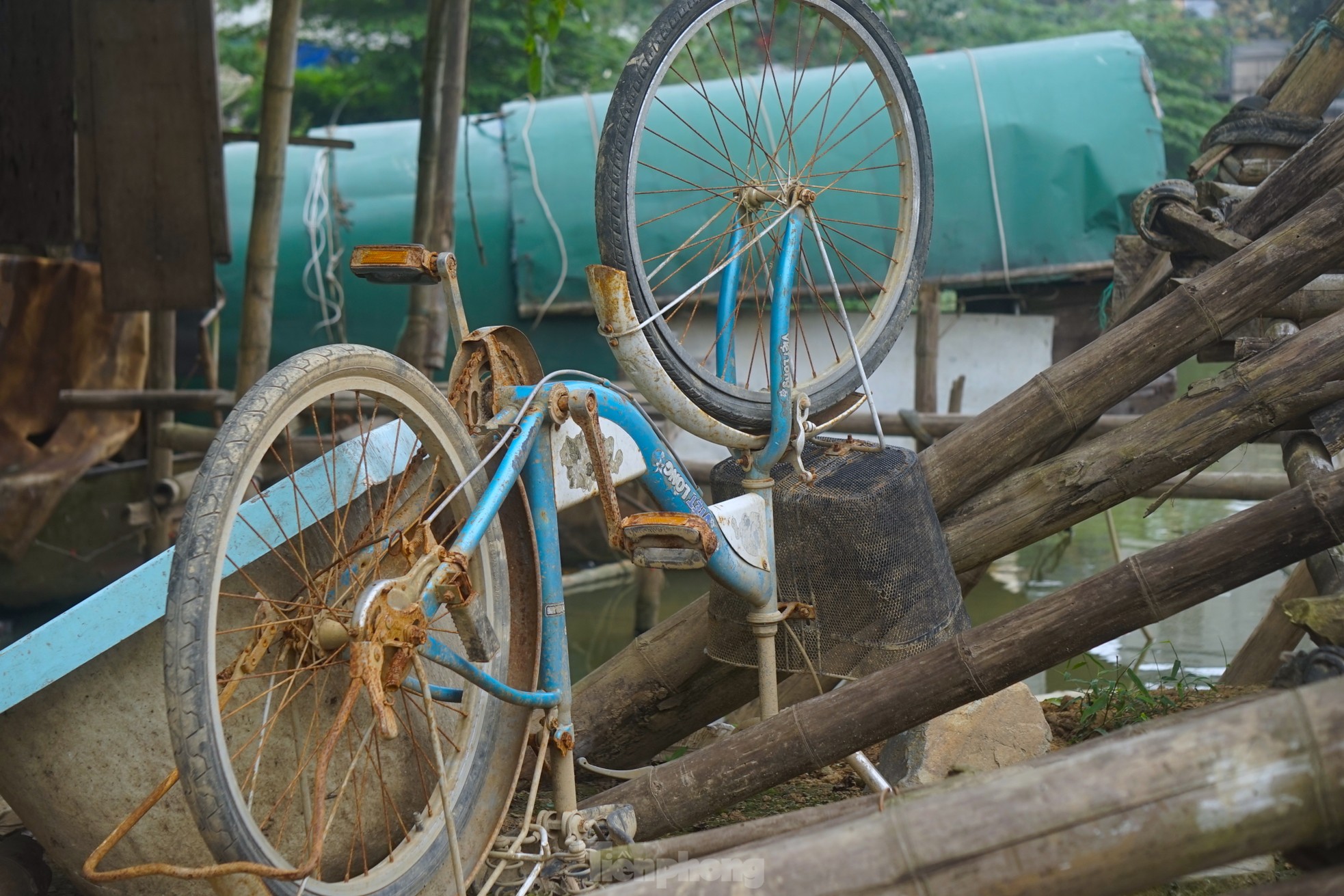 Tài sản của họ chẳng có gì đáng giá ngoài những chiếc xe cũ và ít vật nuôi trong nhà.