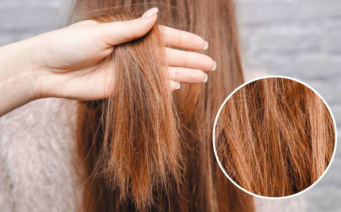 8 sai lầm khi gội đầu gây hại cho mái tóc mà hầu hết mọi người đều mắc phải